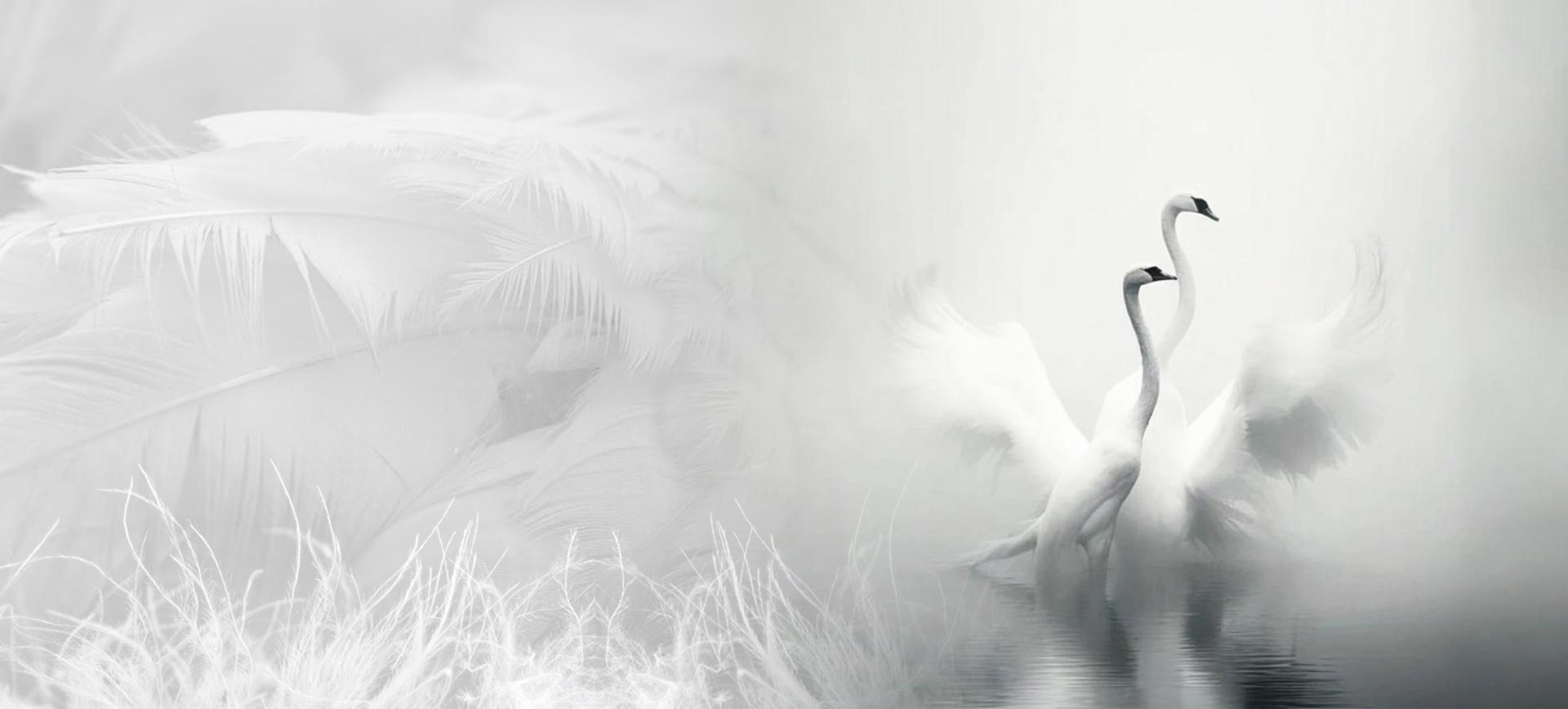 Zhejiang Shengjie para baixo produtos Co., Ltd.