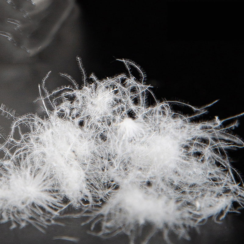 90% penugem de pato branco puro 90% penugem de pato branco puro