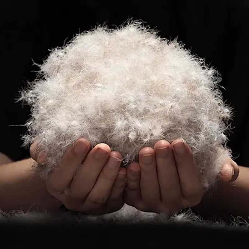 90% penugem de pato cinza