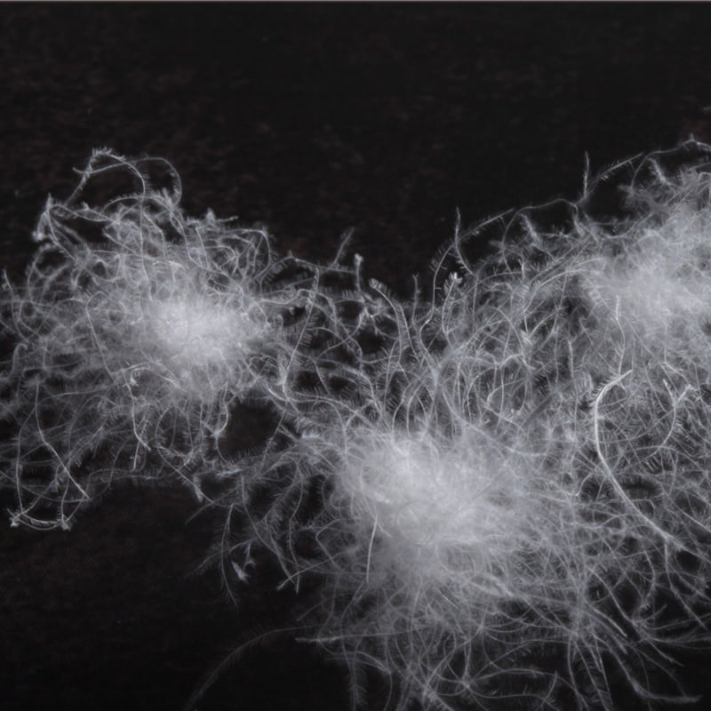 90% penugem de ganso branca 90% penugem de ganso branca