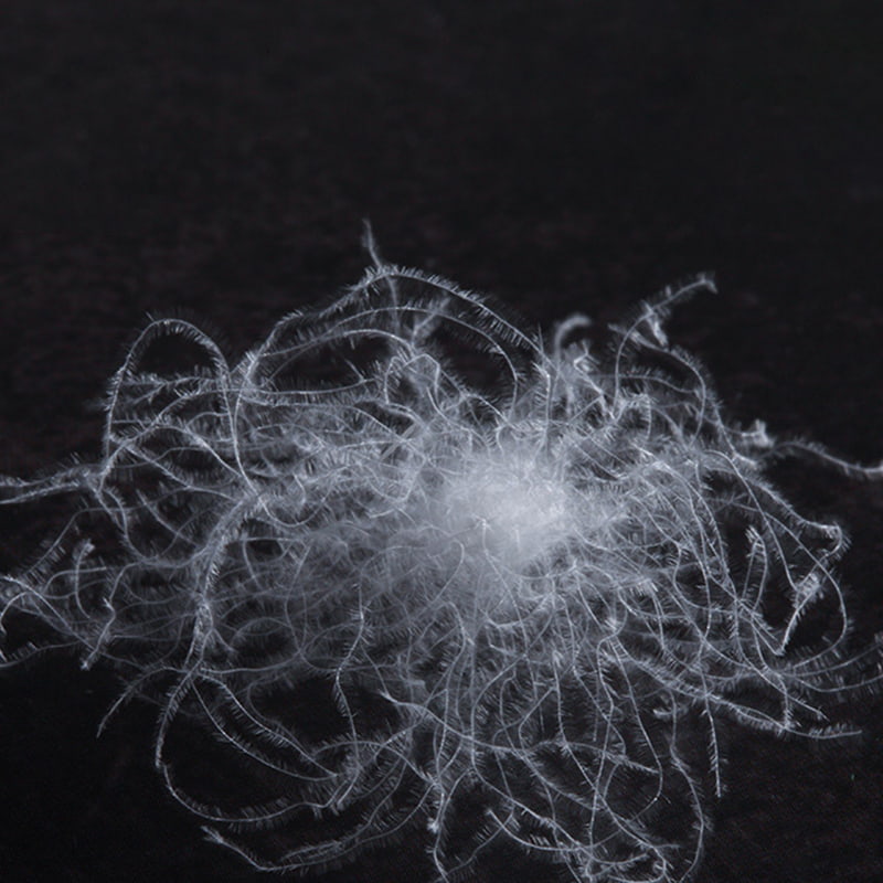 90% penugem de ganso branca 90% penugem de ganso branca