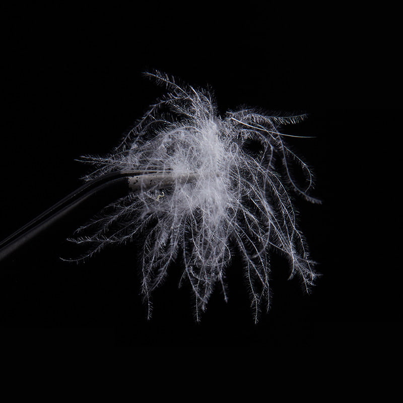 90% penugem de pato branco puro 90% penugem de pato branco puro