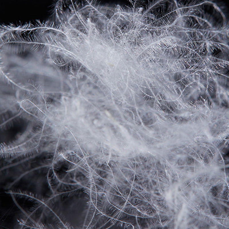 90% penugem de pato branco puro 90% penugem de pato branco puro