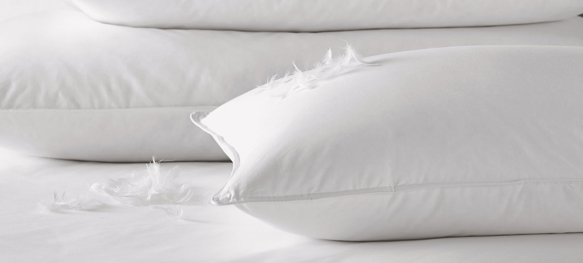 Zhejiang Shengjie para baixo produtos Co., Ltd.