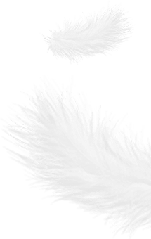 Zhejiang Shengjie para baixo produtos Co., Ltd.