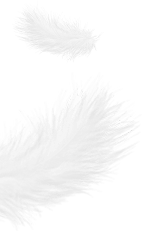 Zhejiang Shengjie para baixo produtos Co., Ltd.