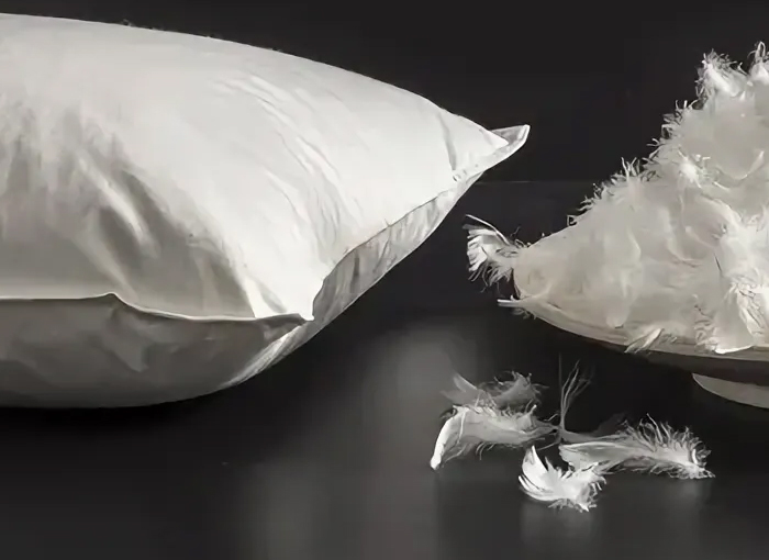 Zhejiang Shengjie para baixo produtos Co., Ltd.