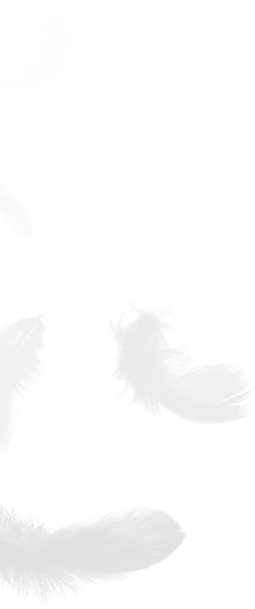 Zhejiang Shengjie para baixo produtos Co., Ltd.